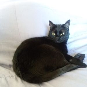 Meet your Posher, Lois